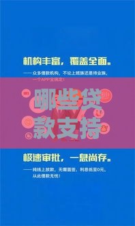 哪些贷款支持24期分期？这5种方式满足不同需求