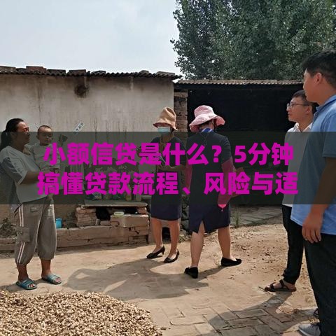 小额信贷是什么？5分钟搞懂贷款流程、风险与适用人群