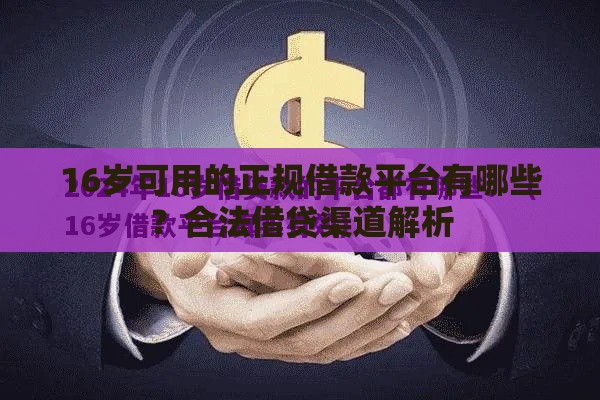 16岁可用的正规借款平台有哪些？合法借贷渠道解析