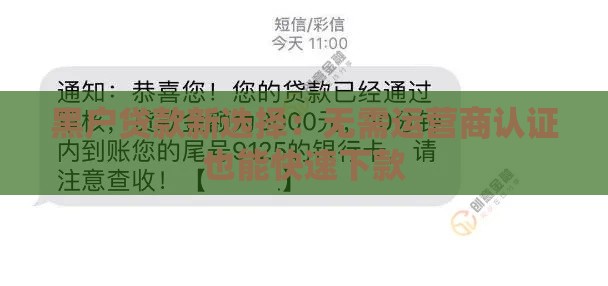黑户贷款新选择：无需运营商认证也能快速下款