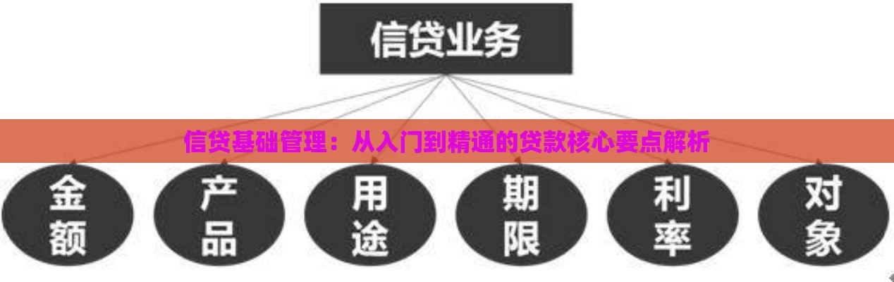信贷基础管理：从入门到精通的贷款核心要点解析