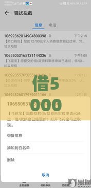 借5000不看征信秒下款？白猎贷申请全流程避坑指南
