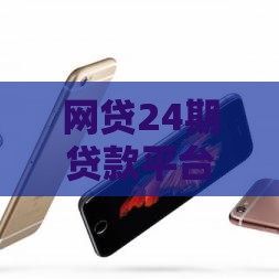 网贷24期贷款平台解析：分期还款规则与注意事项