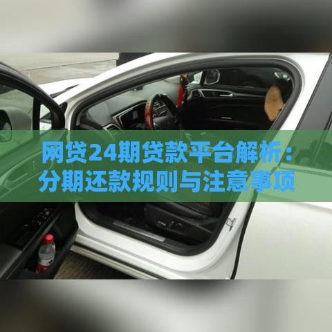 网贷24期贷款平台解析：分期还款规则与注意事项