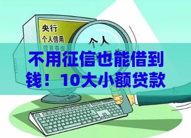 不用征信也能借到钱！10大小额贷款平台推荐及避坑指南