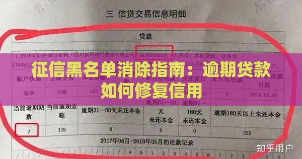 征信黑名单消除指南：逾期贷款如何修复信用