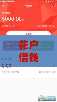 花户借钱必看！这些正规贷款软件通过率高