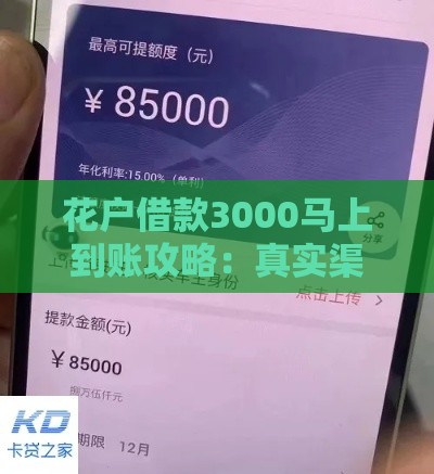 花户借款3000马上到账攻略：真实渠道与避坑指南