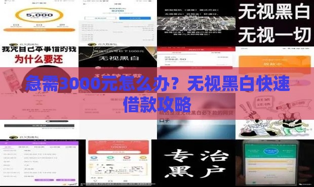 急需3000元怎么办？无视黑白快速借款攻略