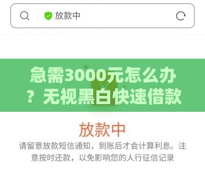 急需3000元怎么办？无视黑白快速借款攻略