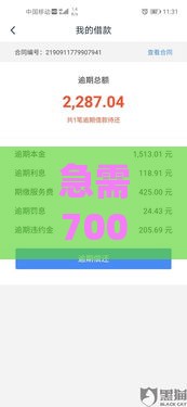 急需7000元？高利贷借款平台的隐藏风险与应对指南
