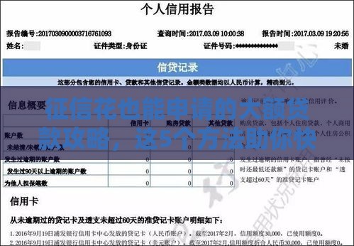 征信花也能申请的大额贷款攻略，这5个方法助你快速通过