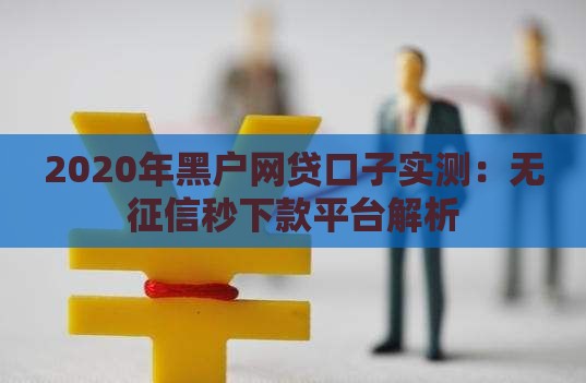 2020年黑户网贷口子实测：无征信秒下款平台解析