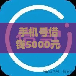 手机号借钱5000元快速到账攻略：低息借款流程详解