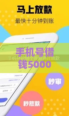 手机号借钱5000元快速到账攻略：低息借款流程详解
