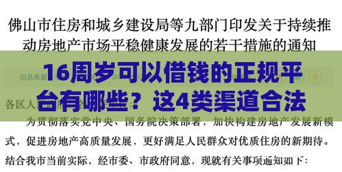 16周岁可以借钱的正规平台有哪些？这4类渠道合法且靠谱