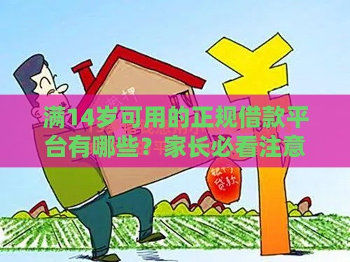 满14岁可用的正规借款平台有哪些？家长必看注意事项