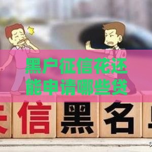 黑户征信花还能申请哪些贷款？真实渠道解析
