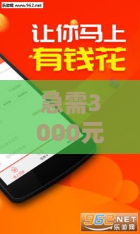 急需3000元不看征信的贷款平台推荐，快速下款解决燃眉之急