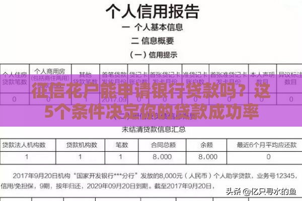 征信花户能申请银行贷款吗？这5个条件决定你的贷款成功率