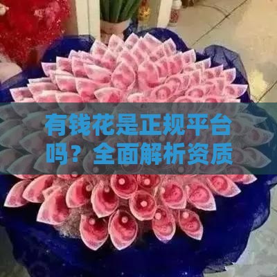 有钱花是正规平台吗？全面解析资质与安全性