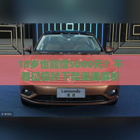 18岁也能借5000元？不看征信秒下款渠道解析