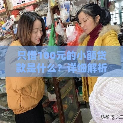 只借100元的小额贷款是什么？详细解析与申请指南