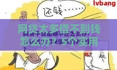 网贷太多借不到钱怎么办？5个实用解决办法帮你脱困