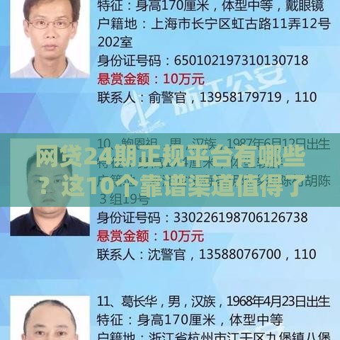 网贷24期正规平台有哪些？这10个靠谱渠道值得了解