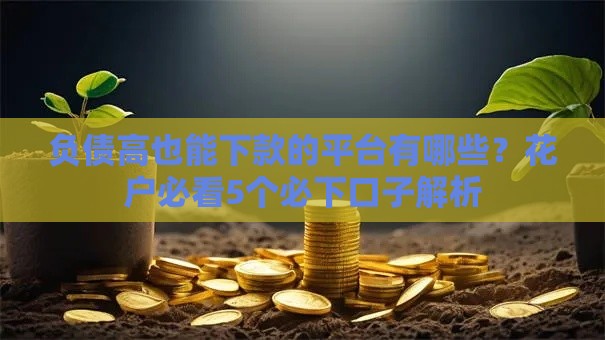 负债高也能下款的平台有哪些？花户必看5个必下口子解析