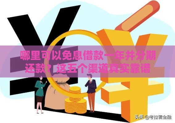 哪里可以免息借款一年并分期还款？这五个渠道真实靠谱