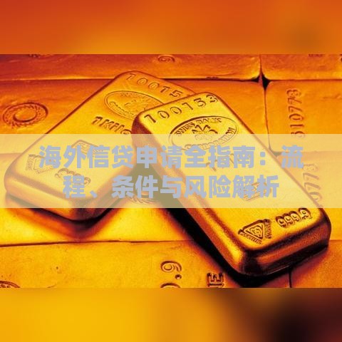 海外信贷申请全指南：流程、条件与风险解析