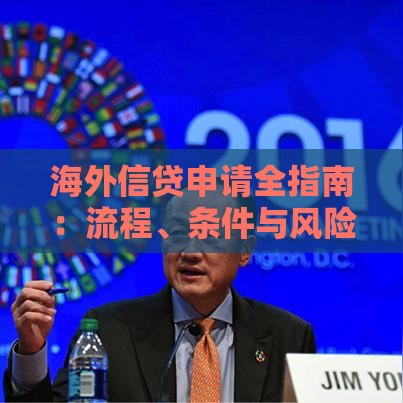 海外信贷申请全指南：流程、条件与风险解析