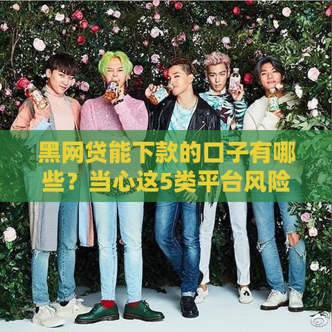 黑网贷能下款的口子有哪些？当心这5类平台风险极高！