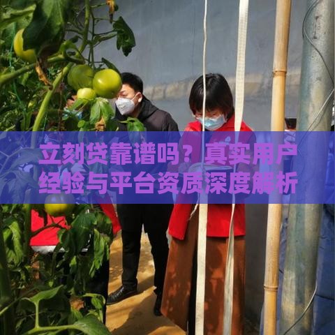 立刻贷靠谱吗？真实用户经验与平台资质深度解析