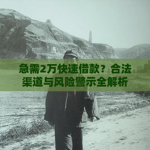 急需2万快速借款？合法渠道与风险警示全解析