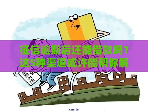 征信逾期后还能借款吗？这5种渠道或许能帮你解决难题