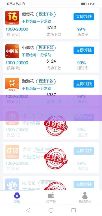 2024年高炮下款口子真实推荐与避坑指南