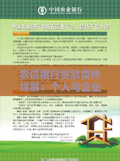 农信银行贷款条件详解：个人与企业申请指南