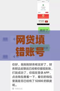 网贷填错账号导致资金冻结怎么办？正确解决方法详解
