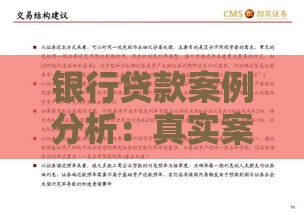 银行贷款案例分析:真实案例解析与申请攻略 银行贷款案例分析:真实案例解析与申请攻略