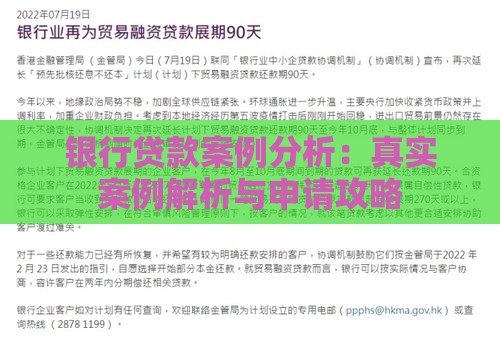 银行贷款案例分析:真实案例解析与申请攻略 银行贷款案例分析:真实案例解析与申请攻略