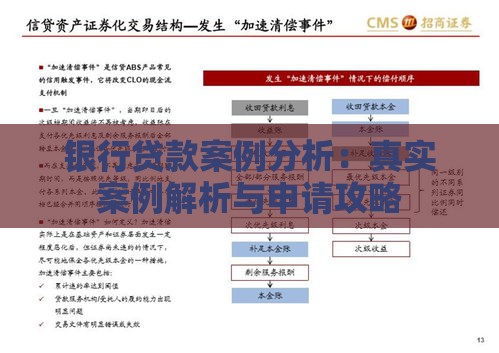 银行贷款案例分析:真实案例解析与申请攻略 银行贷款案例分析:真实案例解析与申请攻略