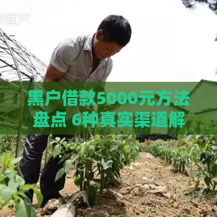 黑户借款5000元方法盘点 6种真实渠道解析
