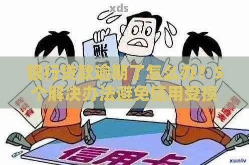 银行贷款逾期了怎么办？5个解决办法避免信用受损