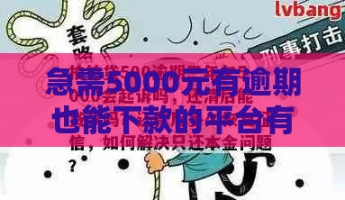 急需5000元有逾期也能下款的平台有哪些？这几个渠道可尝试