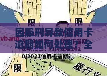 因服刑导致信用卡逾期如何处理？全面解析解决办法