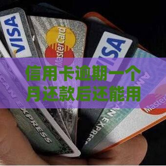 信用卡逾期一个月还款后还能用吗？影响及应对方法解析