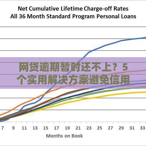 网贷逾期暂时还不上？5个实用解决方案避免信用危机