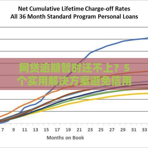 网贷逾期暂时还不上？5个实用解决方案避免信用危机